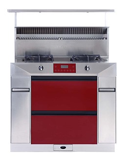 丝瓜视频在线观看91丝瓜在线观看侧吸式下排无烟厨房天健G01-R91丝瓜在线观看红色